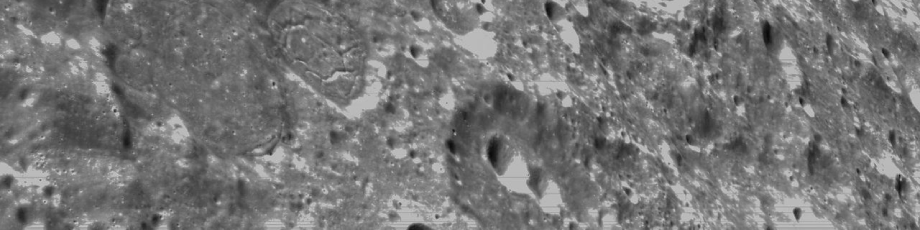 NASA closeup image of the Moon